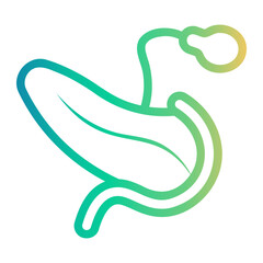 pancreas Line Gradient Icon
