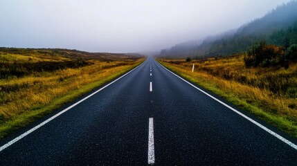 Fototapeta premium A peaceful road stretches into the misty distance, surrounded by serene fields and whispering nature.