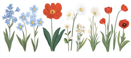 Floral flat set of spring and summer green plants. Blossoming field herbs or roses with colorful blooms on white background.