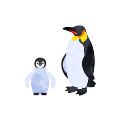 コウテイペンギン（エンペラーペンギン）の雛と成鳥。水彩風イラスト。 Emperor penguin chick and adult. Watercolor style illustration.