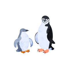 ヒゲペンギンの雛と成鳥。水彩風イラスト。 Chinstrap penguin chick and adult. Watercolor style illustration.