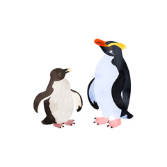 フィヨルドランドペンギン（キマユペンギン、ヴィクトリアペンギン）の雛と成鳥。水彩風イラスト。 Fiordland penguin (Fiordland crested penguin) chick and adult. Watercolor style illustration.