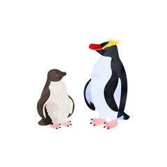 シュレーターペンギン（マユダチペンギン）の雛と成鳥。水彩風イラスト。 Erect-crested penguin (Big-crested penguin) chick and adult. Watercolor style illustration.