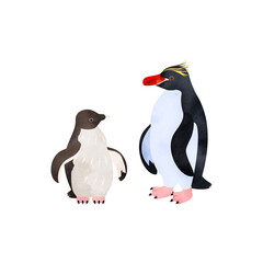 マカロニペンギンの雛と成鳥。水彩風イラスト。 Macaroni penguin chick and adult. Watercolor style illustration.