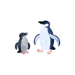コガタペンギン（リトルペンギン、フェアリーペンギン）の雛と成鳥。水彩風イラスト。 Little penguin (fairy penguin, blue penguin) chick and adult. Watercolor style illustration.