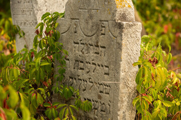 Tombstones at the medieval Jewish cemetery in Republic of Moldova