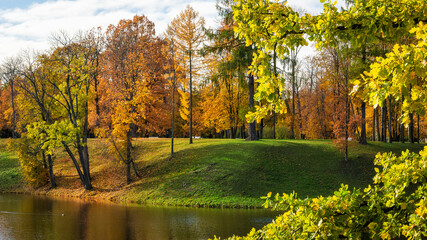 Fototapeta premium Beautiful sunny forest autumn landscape. Amazing park with lake