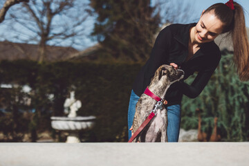 Obraz premium A young woman interacts lovingly with her greyhound dog in a sunny outdoor setting. The woman is wearing a black shirt and blue jeans, smiling as she pets the dog, which has a sleek, brindle coat. In