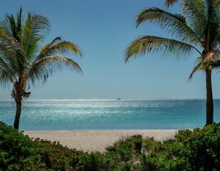 Fototapeta premium A serene tropical beach with clear water, palm trees, bright sun, and no people, evoking tranquility.