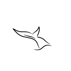 whale tail line art