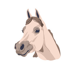 Arabian horse head, purebred stallion of Arab breed. Elegant noble equine avatar, portrait. Beautiful graceful animal. Realistic flat graphic vector illustration isolated on white background