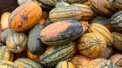 A close-up image of a pile of fresh, ripe spaghetti squashes at a farmers market
