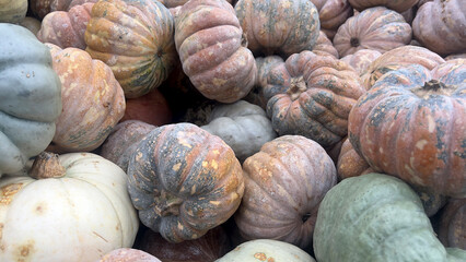 A close-up view of a variety of pumpkins in various colors, shapes, and sizes, piled high in a market stall