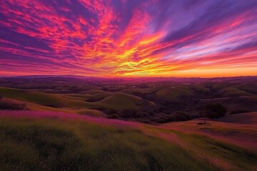 Obraz premium a gorgeous sunset, with the sky ablaze with hues of orange, pink, and purple