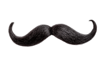 Fake curly black handlebar mustache isolated on white background