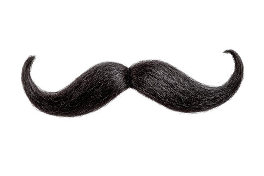 Fake curly black handlebar mustache isolated on white background