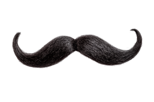 Fake curly black handlebar mustache isolated on white background
