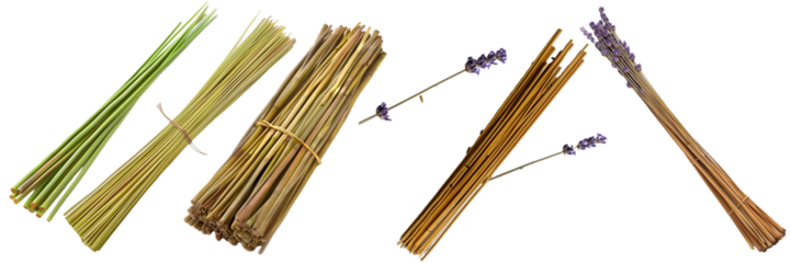Various wooden incense sticks bundled together ready for spiritual practices and home fragrance on a white background
