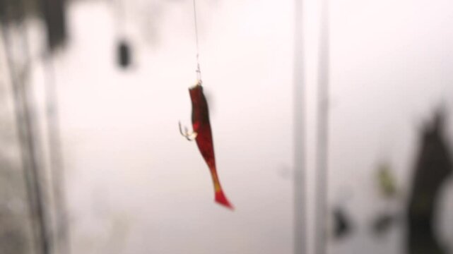 Fishing bait for fishing with pinning rod in hands of man. Silicone bait on a double hook. Fisherman shows a silicone bait baited on a hook, close-up. Close up view of fisherman putting silicone bait