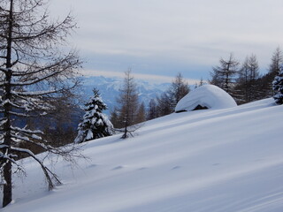 eingeschneite Hütte auf den Dornbacher Wiesen