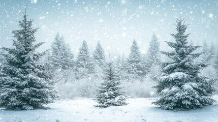 Obraz premium A snow-covered forest with tall evergreen trees and a soft winter sky, creating a serene winter landscape.