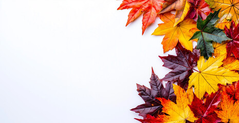 Colorful autumn leaves forming a only side area display a white background, including vibrant orange, red, and yellow maple leaves