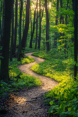 Fototapeta premium Crystal-Clear Nature Background: High-Resolution Wallpaper for a Serene and Stunning View