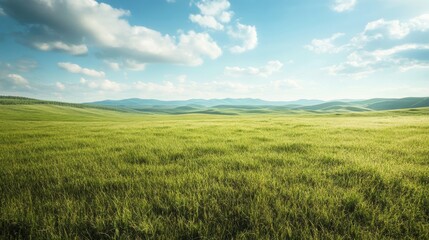 Obraz premium Vast empty grassland with rolling hills depicting peace