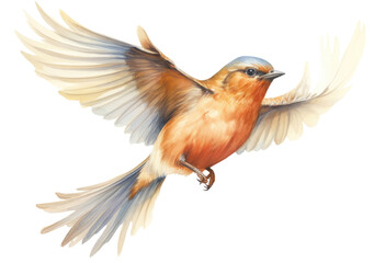 Obraz premium PNG Illustration of own bird flying bluebird animal robin.
