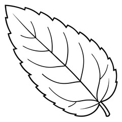 Mint leaf clip art, vector illustration on white background.