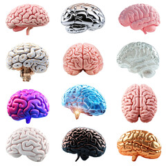 Obraz premium PNG 3d human brain element set, transparent background
