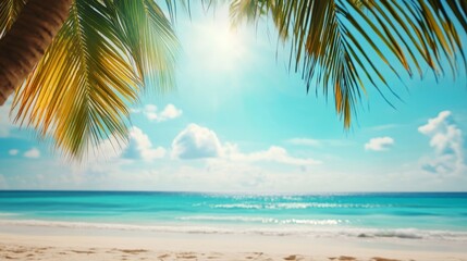 Fototapeta premium Summer Resort Beach Sea Relax Travel Vacation Palm Tropic Copy Space Banner Background Hotel