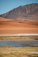 The desert wetlands of the Quebrada de Quepiaco River in Chile?s altiplano near San Pedro de Atacama showcase a striking contrast against the landscape and attract various bird species.