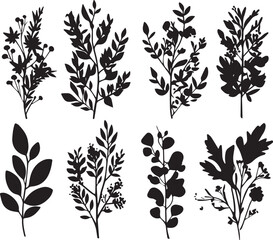 Fototapeta premium Set plants. Hand drawn vector illustration
