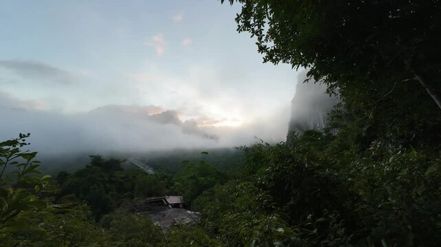 Morning mist at Khao Sok khlong phanom