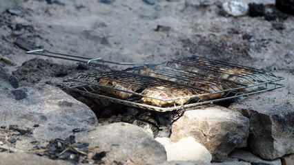 a fire with a metal mesh with pieces of chicken meat is burning on large stones. barbecue in nature. side view