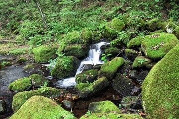 泉ヶ岳の9月