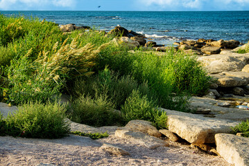 Каспийский берег