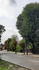 park in the city