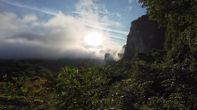 Morning mist at Khao Sok khlong phanom
