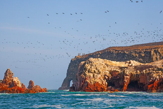 Lots of birds on Ballestas Islands national reserve, Paracas, Peru