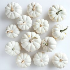 White pumpkins. Round autumn minimal arrangement. Flat lay, top view,
