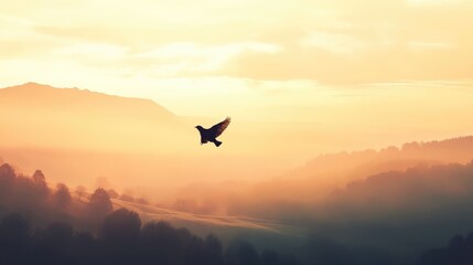 Silhouette of a Bird Flying in a Misty Sunset