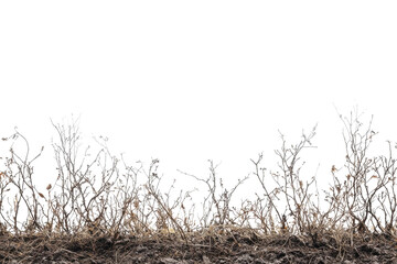 Dry grassland with barren soil, showcasing an autumn or winter landscape. Ideal for nature and environmental themes.