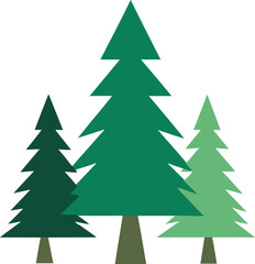 A vector illustration of three pine trees in different shades of green