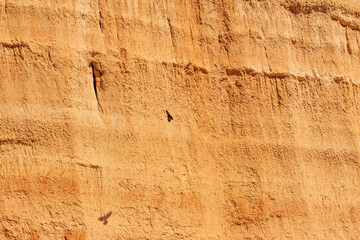 A stunning view of a desert landscape with red rock formations and a bird flying by.