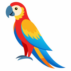 blue and yellow macaw