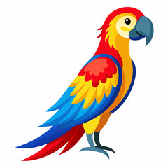 blue and yellow macaw