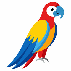 blue and yellow macaw