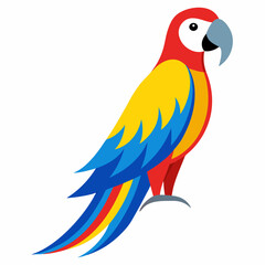 blue and yellow macaw